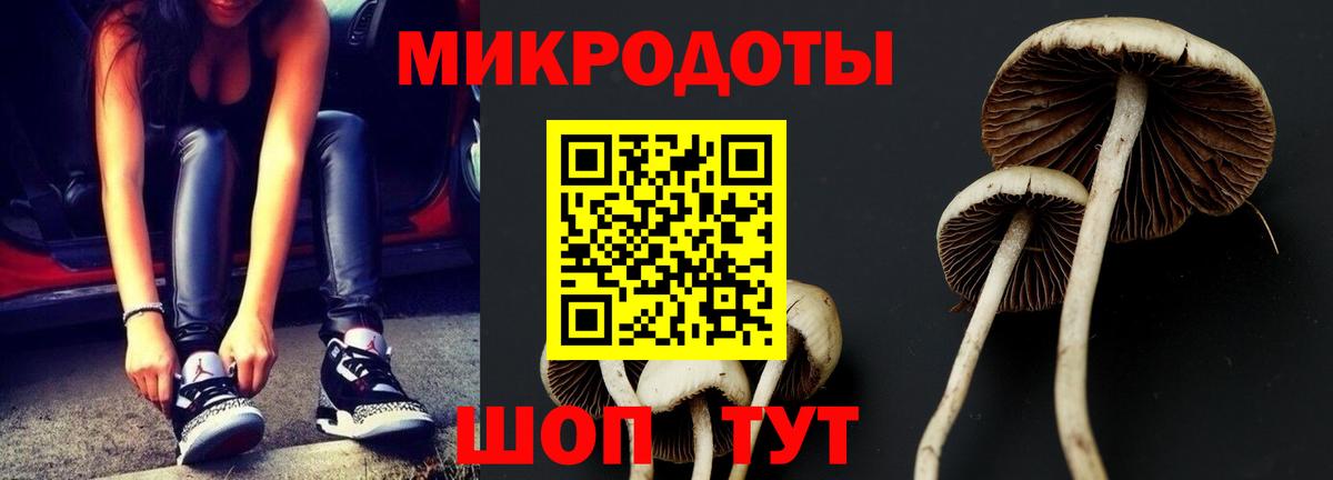 Псилоцибиновые грибы GOLDEN TEACHER Салехард