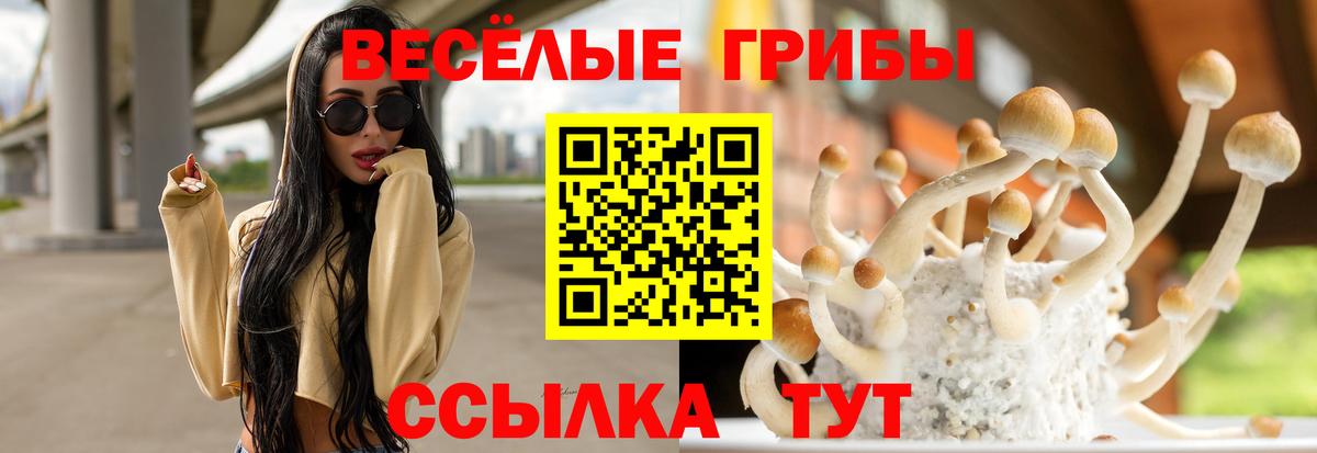 Салехард  Галлюциногенные грибы мицелий  наркошоп  Вход с VPN  Галлюциногенные грибы прущие грибы 